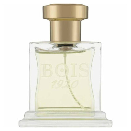 Bois 1920 Elite I for Unisex Parfum 100ML