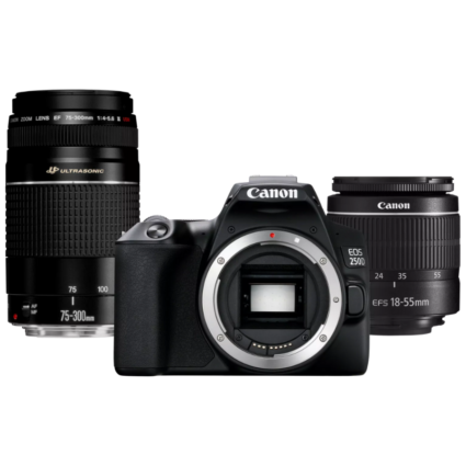 Canon EOS 250D DSLR Camera with 18-55mm & 75-300mm Lens Bundle - 24.1MP, Black