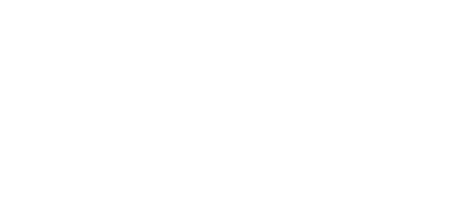 FLEX