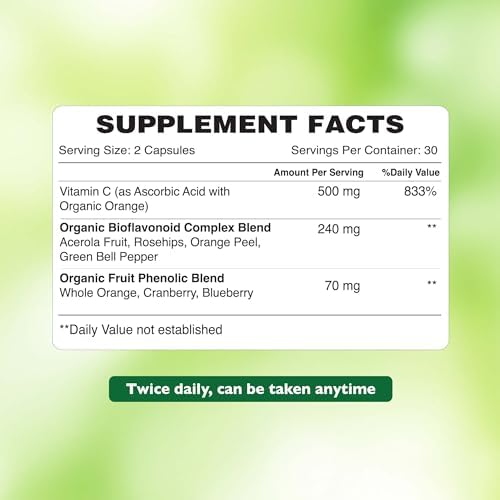 Organic Earth Plant Based Vitamic C I Powerful Antioxidant I Enhance Collagen Production, Aids in Iron absorption I Support Immune System - Image 2