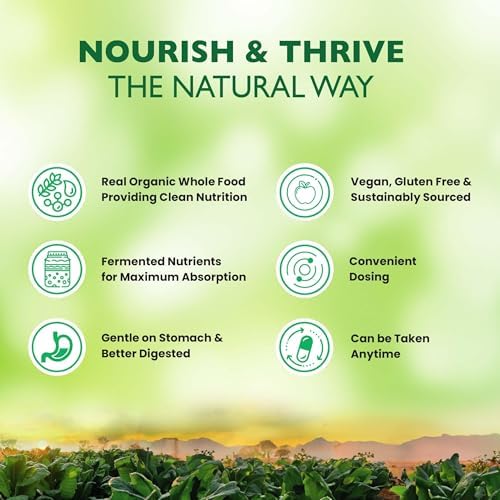 Organic Earth Plant Based Vitamic C I Powerful Antioxidant I Enhance Collagen Production, Aids in Iron absorption I Support Immune System - Image 6